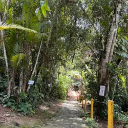 Cachoeira da Pedra Branca - Paraty