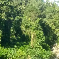 Cachoeira da Pedra Branca - Paraty