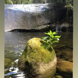 Cachoeira do Tobogã (Toboggan Waterfall) - Paraty