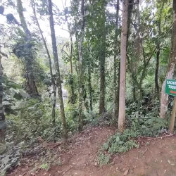 Cachoeira do Tobogã (Toboggan Waterfall) - Paraty
