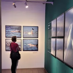 Casa da Cultura de Paraty - Paraty
