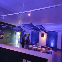 Casa da Cultura de Paraty - Paraty