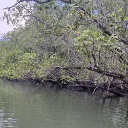 Saco do Mamanguá - Paraty