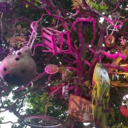 Casa do Reggae - Parnaíba