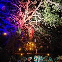 Casa do Reggae - Parnaíba