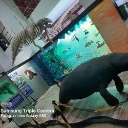 Museu do Delta - Parnaíba