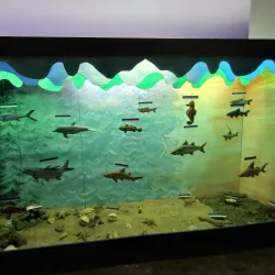 Museu do Delta - Parnaíba