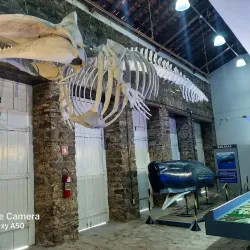 Museu do Delta - Parnaíba