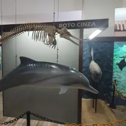 Museu do Delta - Parnaíba