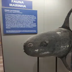 Museu do Delta - Parnaíba