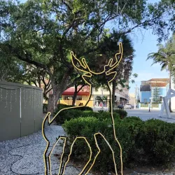 Praça da Graça - Parnaíba