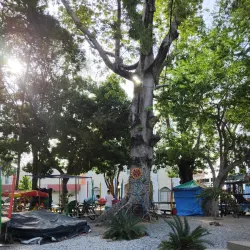 Praça da Graça - Parnaíba