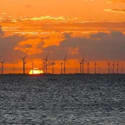Praia da Pedra do Sal - Parnaíba