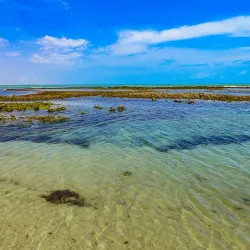 Praia do Coqueiro - Parnaíba