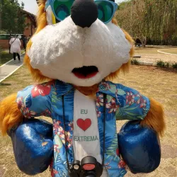 Cachoeira do Salto - Passos