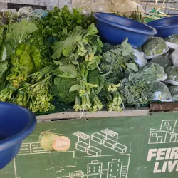 Feira Livre de Passos - Passos