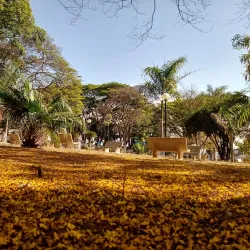Praça Getúlio Vargas - Passos