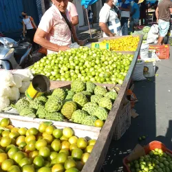 Feira Livre de Patos - Patos