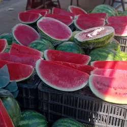 Feira Livre de Patos - Patos