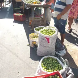 Feira Livre de Patos - Patos