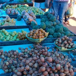 Feira Livre de Patos - Patos