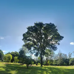 Parque Municipal de Paulínia - Paulinia