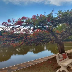Parque Municipal de Paulínia - Paulinia