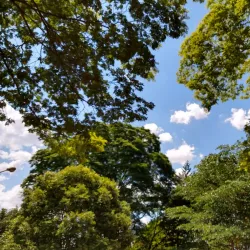 Parque Municipal de Paulínia - Paulinia