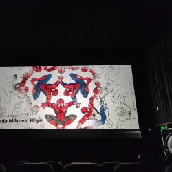 Paulínia Film Festival (Festival de Cinema de Paulínia) - Paulinia