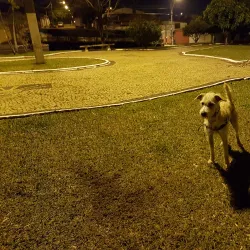 Praça do Trabalhador - Paulinia