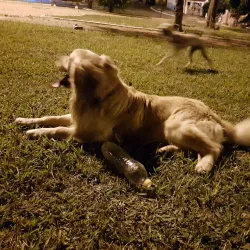 Praça do Trabalhador - Paulinia