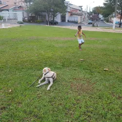 Praça do Trabalhador - Paulinia