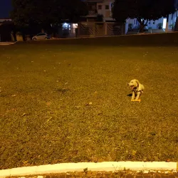 Praça do Trabalhador - Paulinia