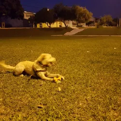 Praça do Trabalhador - Paulinia