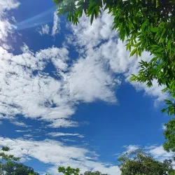 Parque das Mangueiras - Paulista