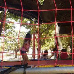 Parque das Mangueiras - Paulista