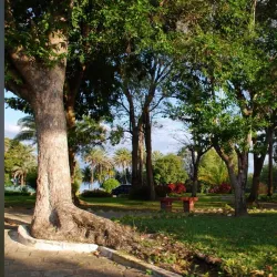 Parque Belvedere - Paulo Afonso