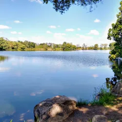 Parque Belvedere - Paulo Afonso