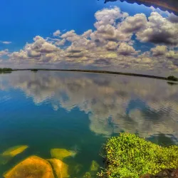 Parque Belvedere - Paulo Afonso