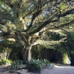 Charqueada São João - Pelotas