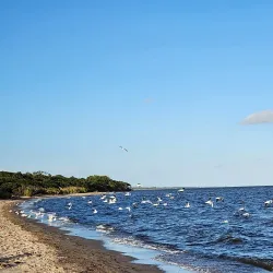 Praia do Laranjal - Pelotas