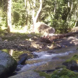 Parque Estadual da Serra do Mar - Núcleo Peruíbe - Peruibe