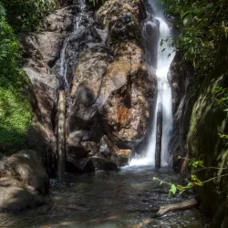 Parque Estadual da Serra do Mar - Núcleo Peruíbe - Peruibe