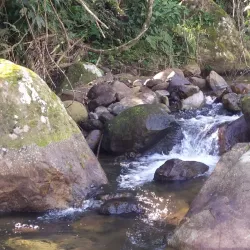 Parque Estadual da Serra do Mar - Núcleo Peruíbe - Peruibe