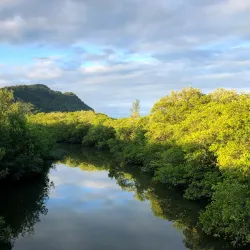 Praia do Guaraú Surf Spot - Peruibe