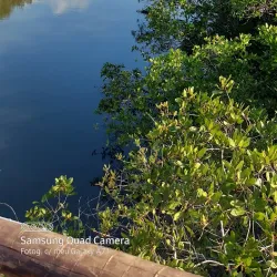 Praia do Guaraú - Peruibe