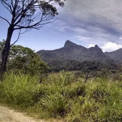 Reserva Ecológica de Peruíbe - Peruibe
