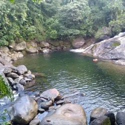 Reserva Ecológica de Peruíbe - Peruibe