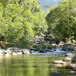 Reserva Ecológica de Peruíbe - Peruibe