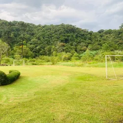 Reserva Ecológica de Peruíbe - Peruibe